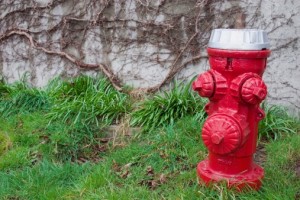 fire-hydrant-neglected-image